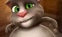 我的汤姆猫怎么没有声音了？苹果手机汤姆猫没声音