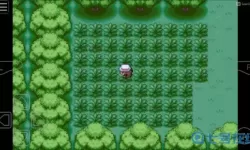 口袋之旅常磐森林攻略 复刻常磐森林抓捕位置