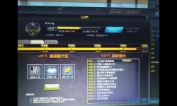 枪林弹雨VIP怎么升级？枪林弹雨怎么卡永久枪？