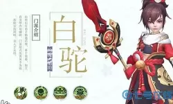 神雕侠侣2明教侠客搭配 神雕侠侣2全真配什么侠客？