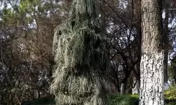 狙击精英吉利服 狙击精英6最新消息