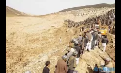 枪林弹雨m14红蝎 枪林弹雨是什么动物？