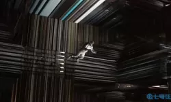 星际穿越四维空间 佛和神仙都在几维空间？