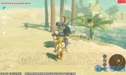 荒野之息ex任务 塞尔达ex任务全攻略