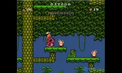 冒险岛2fc攻略大全 fc冒险岛2怎么自己选图？