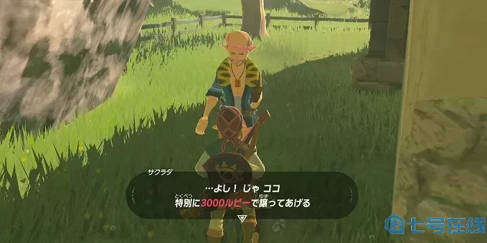 荒野之心 荒野之心攻略