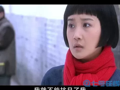 枪林弹雨二十四集