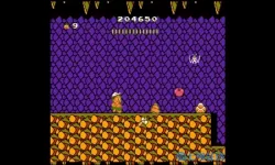 冒险岛2fc游戏 fc冒险岛2秘籍怎么输入？