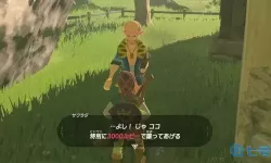 荒野之心 荒野之心攻略