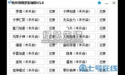 枪林弹雨如梦辅助官网 枪林弹雨游戏官网