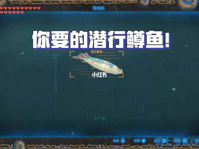 荒野之息潜行鳟鱼在哪儿刷？旷野之息潜行鳟鱼在哪刷？