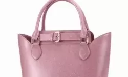 肥鹅健身房二级粉色手提包 肥鹅粉色手提包可以点几下？