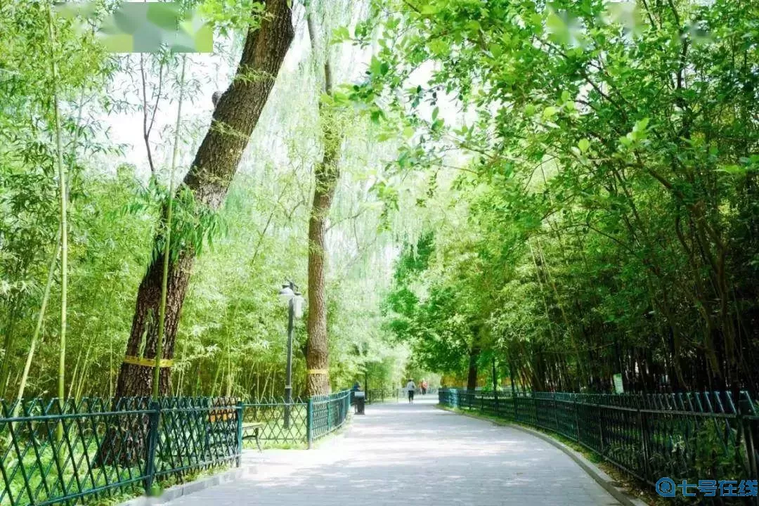 肥鹅健身房绿树浓荫夏季长任务列表 肥鹅健身房绿石头合成表