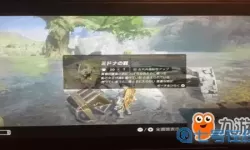 荒野之息DLC多少钱？荒野之息dlc是永久的吗？