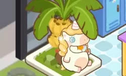 肥鹅健身房健身房的小确幸 肥鹅健身房青春之舞攻略