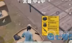 枪林弹雨形容男女什么意思？枪淋弹雨还是枪林弹雨