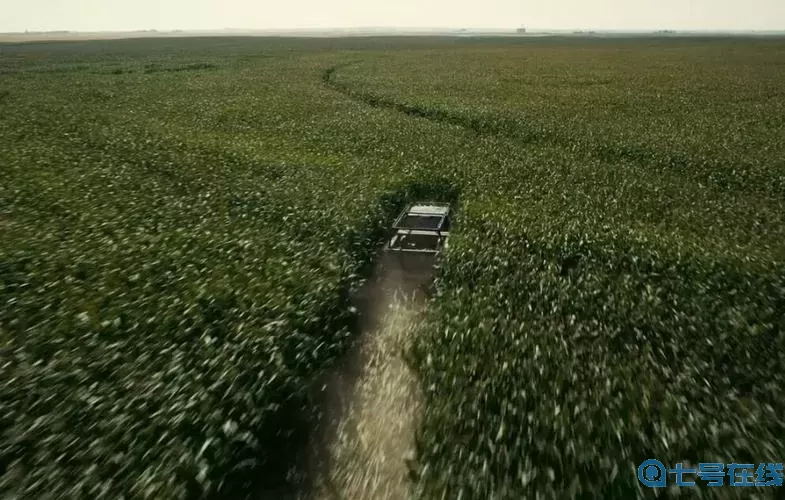 星际穿越玉米地 女主穿越到繁衍困难的星际文