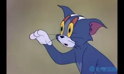 我的汤姆猫犯困 我的汤姆猫99999钻石