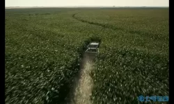 星际穿越玉米地 女主穿越到繁衍困难的星际文