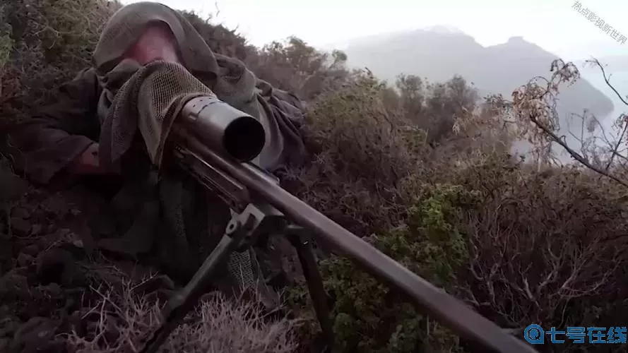 狙击精英战绩 狙击精英有几部顺序？