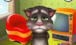 我的汤姆猫V5 我的汤姆猫2所有版本