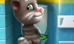 我的汤姆猫百科 汤姆猫代表什么？