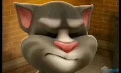 我的汤姆猫cesuo 会说话的汤姆猫老版本