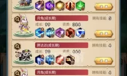 命运战歌VIP等级怎么改成自己想要的？