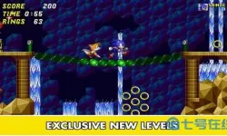 刺猬索尼克2游戏手机版 刺猬索尼克exe手机版下载