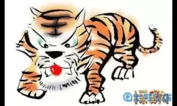 枪林弹雨开过什么生肖？