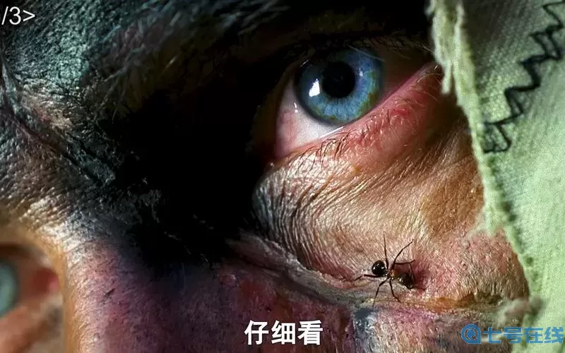 狙击精英重装上阵电影免费观看完整版 狙击重装上阵在线观看