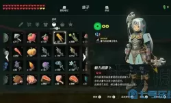 荒野之息钻石怎么刷出来？科恩的钻石手刷出条件