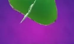 翡翠大师bug修复了吗？翡翠大师bug怎么卡？