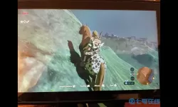 荒野之息马匹怎么放弃？塞尔达马匹怎么放掉？