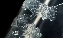 翡翠大师林佳裕 翡翠大师排名一览表