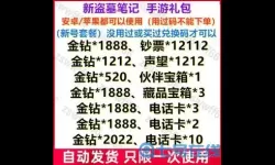 新盗墓笔记兑换码在哪输入？新盗墓笔记永久礼包兑换码