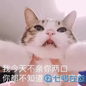 老子不亲你两口你不知道什么叫流氓表情包