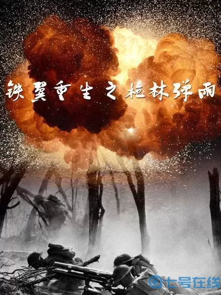 枪林弹雨分集剧情介绍 枪林弹雨为什么凉了？