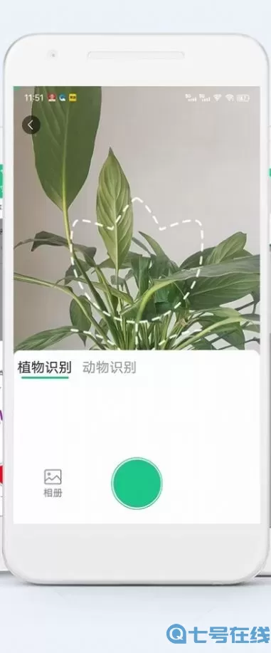 识别速度快 生物多样性