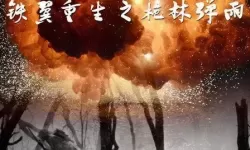 枪林弹雨分集剧情介绍 枪林弹雨为什么凉了？