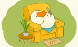 肥鹅健身房户外运动进行时 肥鹅户外运动进行时订单