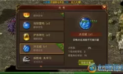 狂暴传奇法师技能 传奇法师用什么技能？