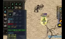 狂暴传奇罗汉金钟