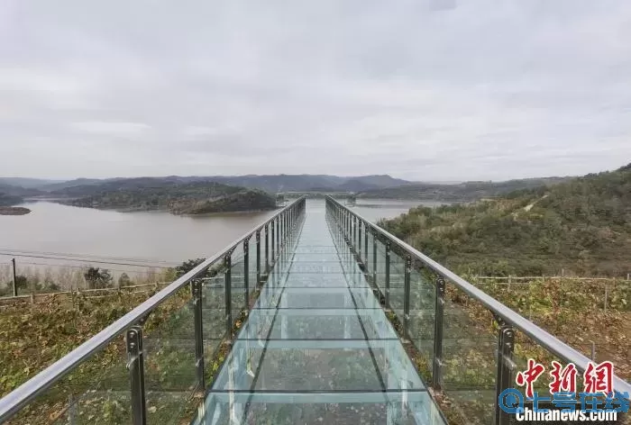 流言侦探胡健是谁 流言侦探我的真实身份