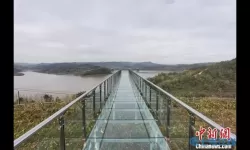 流言侦探胡健是谁 流言侦探我的真实身份