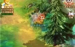 幻灵修仙传哪个宠物好?