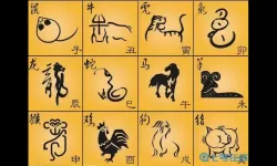 横扫千军指哪个生肖？横扫千军打一生肖或数字