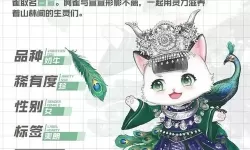 灵猫传图鉴在哪？灵猫传花笺图鉴