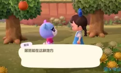 米拉奇战记今天运气爆棚 运气爆棚表情包