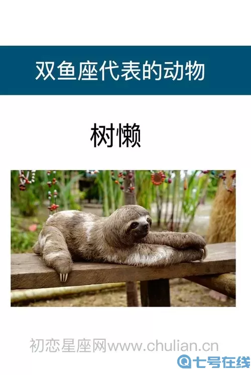 横扫千军代表什么动物？横扫千军打一正确生肖